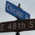 48th and chicago minneapolis