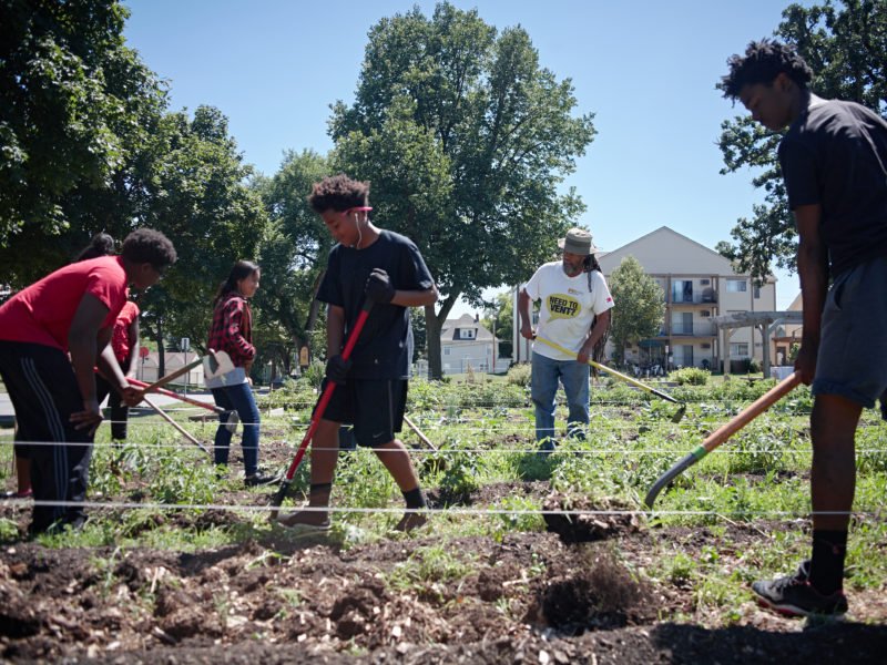 Project sweetie pie north minneapolis
