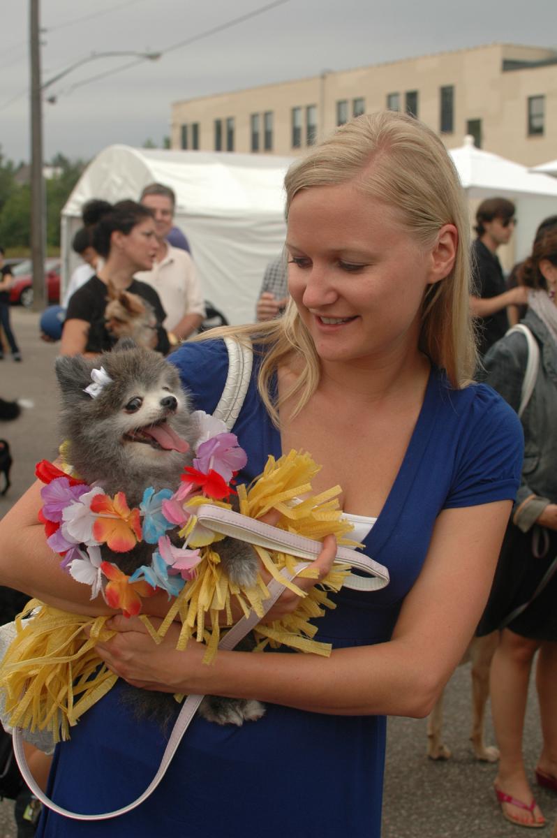 Tiny Pomerian Tiny Pomerian
