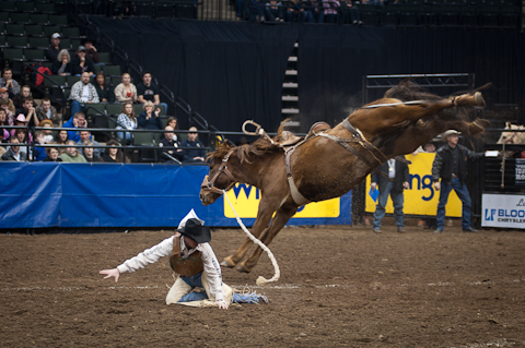 World's Toughest Rodeo World's Toughest Rodeo