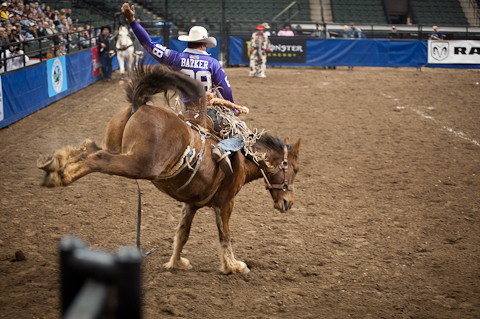 World's Toughest Rodeo World's Toughest Rodeo