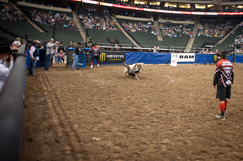 World's Toughest Rodeo World's Toughest Rodeo