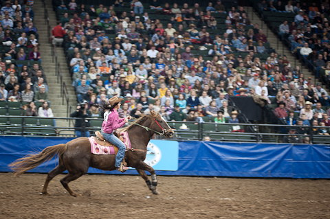 World's Toughest Rodeo World's Toughest Rodeo