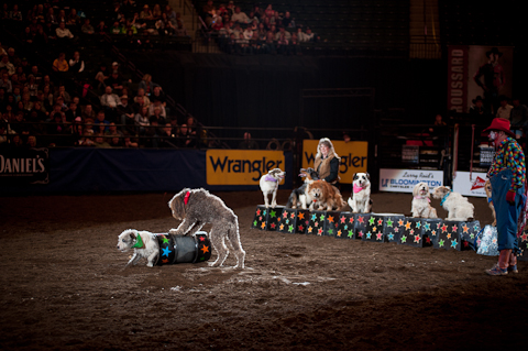 World's Toughest Rodeo World's Toughest Rodeo