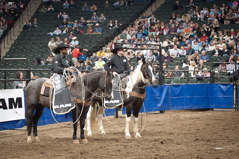 World's Toughest Rodeo World's Toughest Rodeo