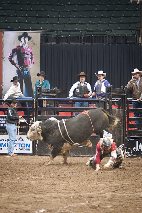 World's Toughest Rodeo World's Toughest Rodeo