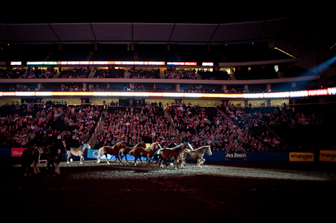World's Toughest Rodeo World's Toughest Rodeo