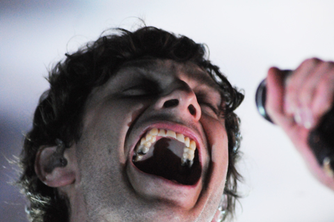 Gotye Gotye