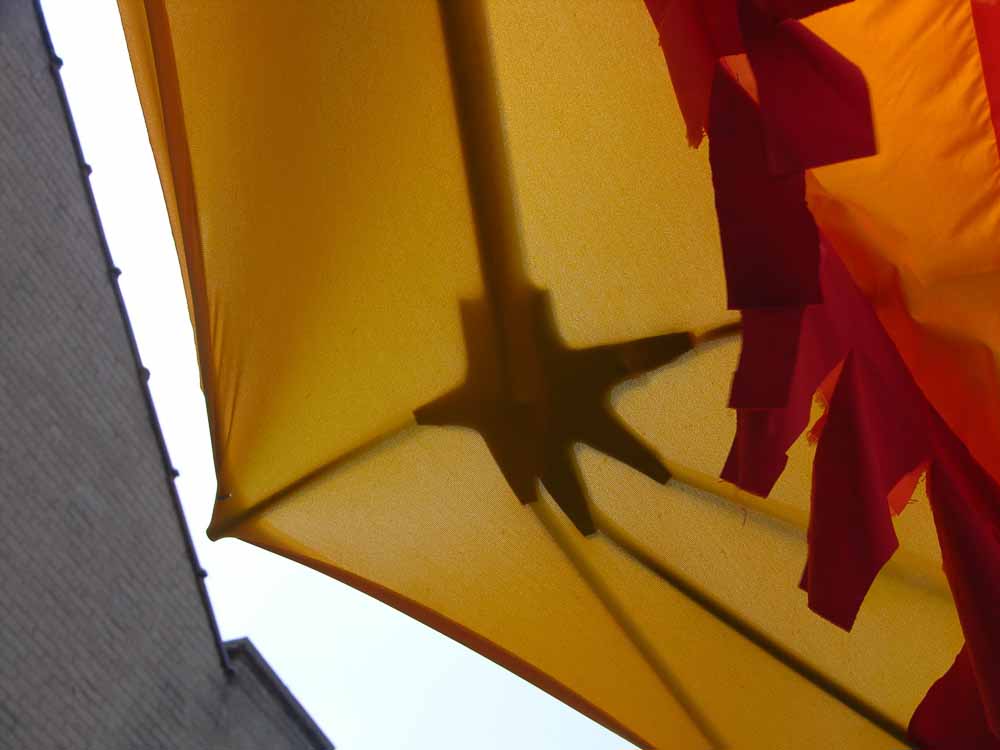 MayDay 2015 firebird wing